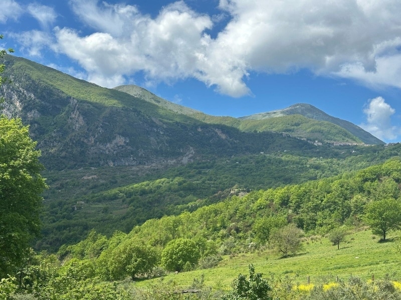 2025.10.25_vita_monastica_carbone-03