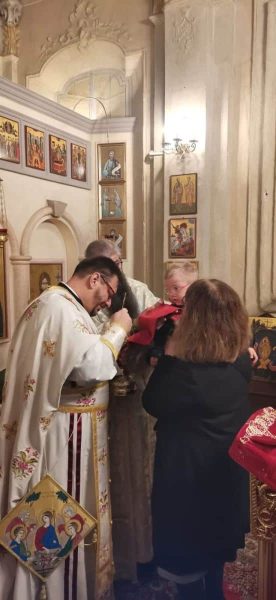 sant-ambrogio-pavia-6