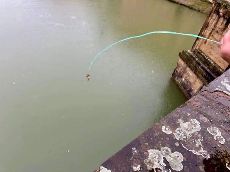 2026.01.06-epifania-firenze-11