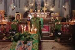 protezione-della-madre-di-dio-vigevano-6