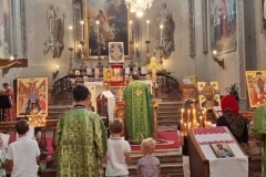 protezione-della-madre-di-dio-vigevano-9