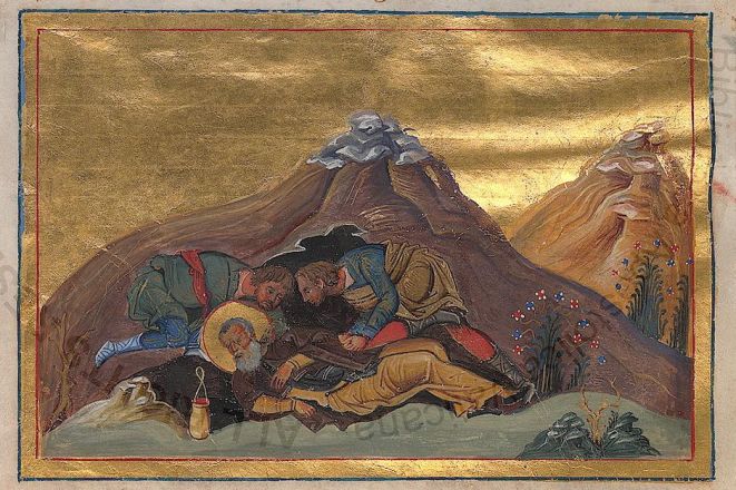 Barsavio di Dalmazia - immagine